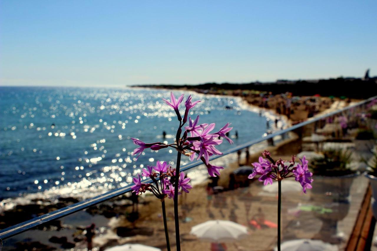 Home Holiday Salento Monica'S House Pescoluse Marina Di Pescoluse Εξωτερικό φωτογραφία