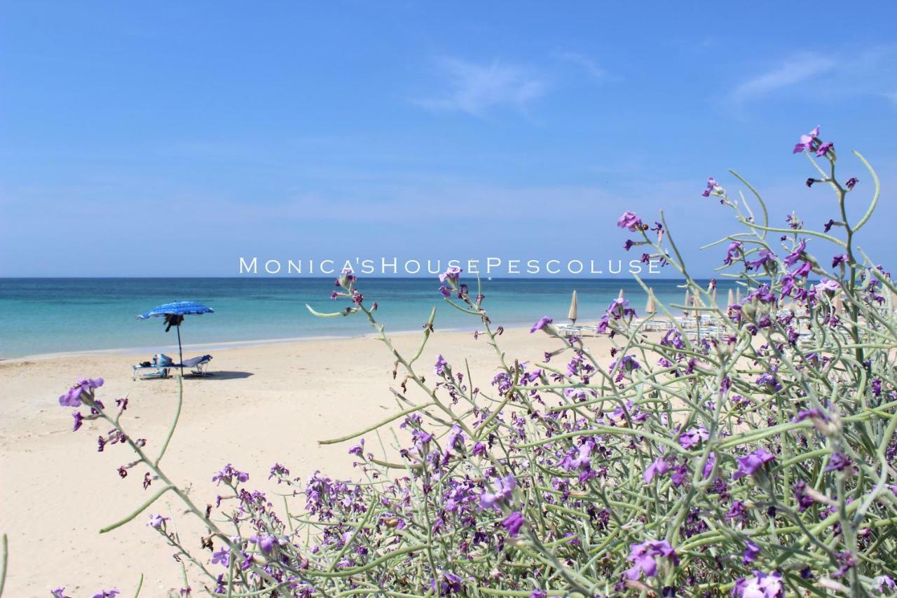 Home Holiday Salento Monica'S House Pescoluse Marina Di Pescoluse Εξωτερικό φωτογραφία